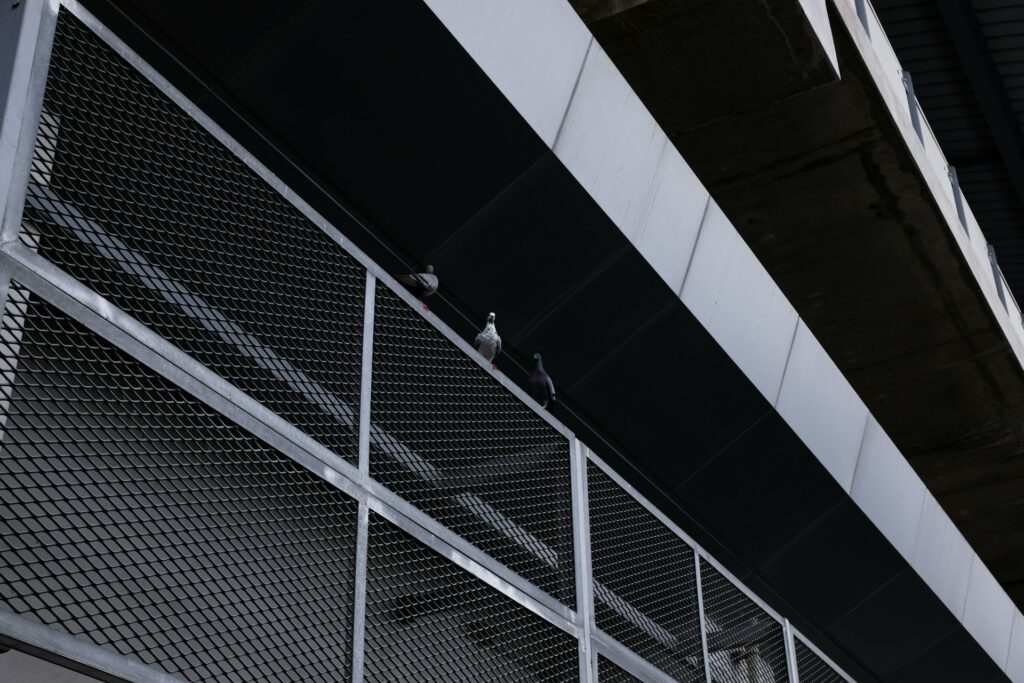Concrete Metal Mesh