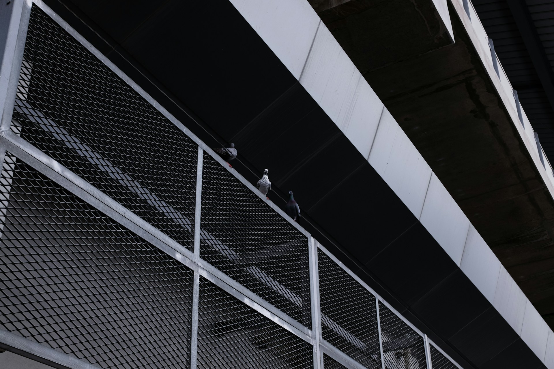 Concrete Metal Mesh